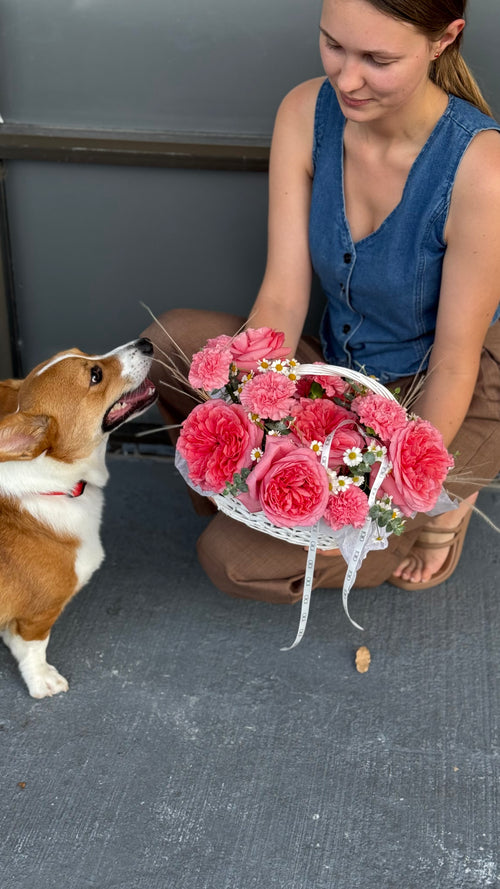 Woman with a dog and a basket of pink flowers on a gray floor.