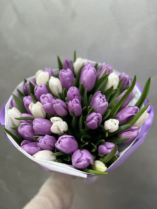 Lavender and White Tulips