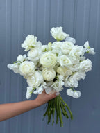 Bouquet of white flowers held by a person against a gray background