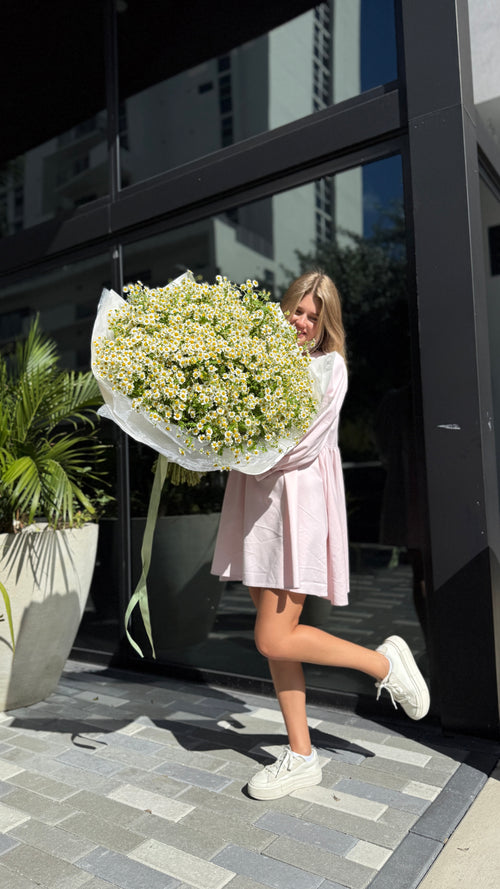 A person holding a bouquet of white and yellow chamomile flowers wrapped in white paper.