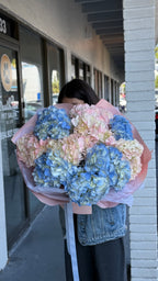 A person holding a medium-size bouquet of pink and blue hydrangeas.