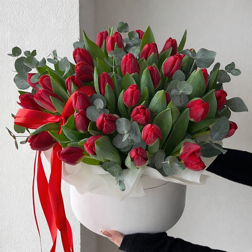 Box Red Tulips