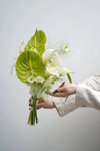 Green leafy white flowers bunch
