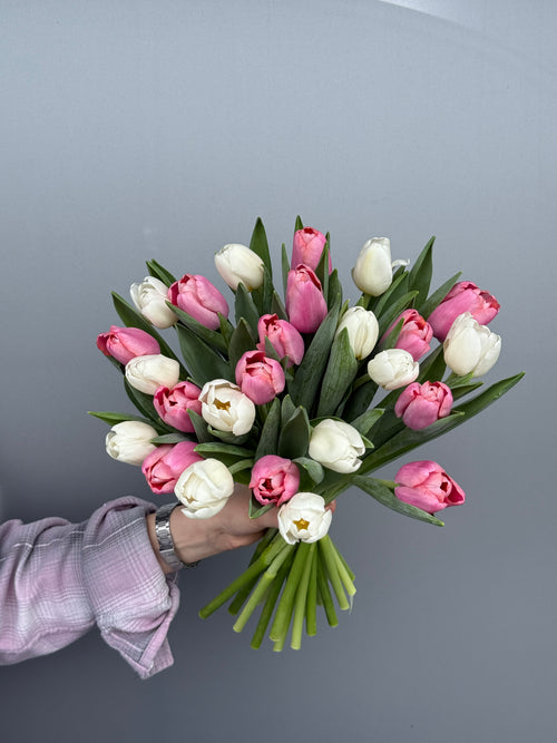 Pink and white tulips
