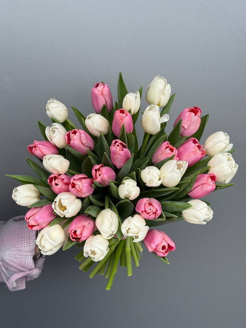 Pink and white tulips