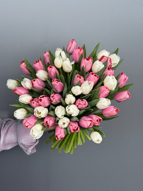 Pink and white tulips