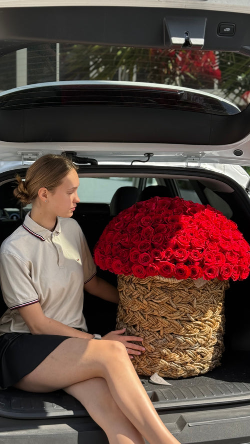 Huge red roses filled in a bucket
