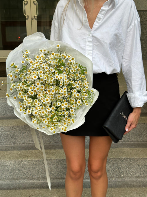 Bouquet Chamomiles