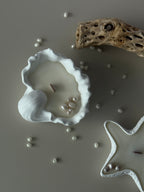 Seashell Ceramic Candle