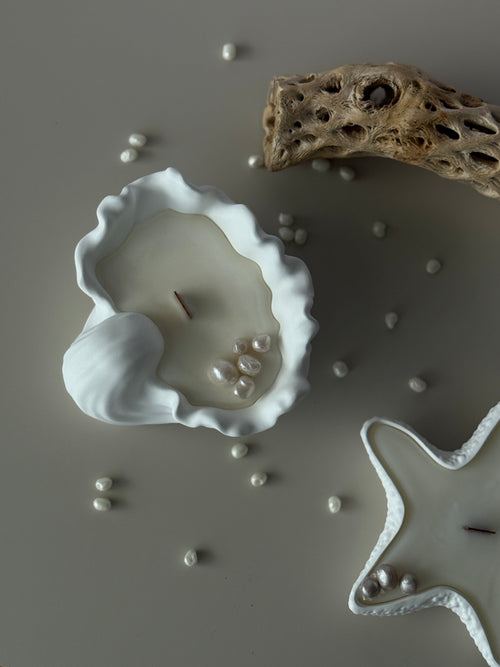 Seashell Ceramic Candle