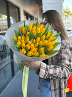 Yellow Tulips