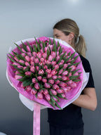 Pink Tulips