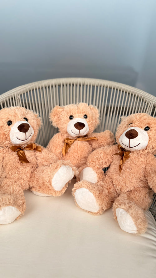 Teddy Bear