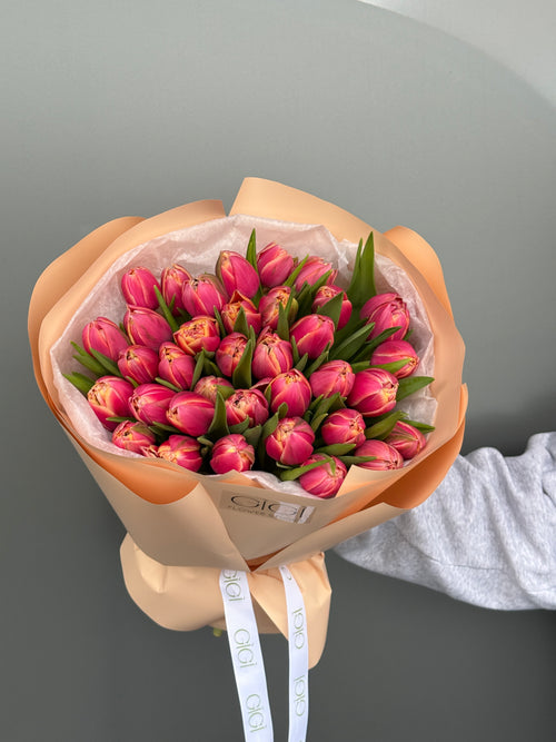 Columbus Tulips