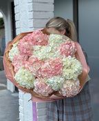 Pink and White Hydrangeas