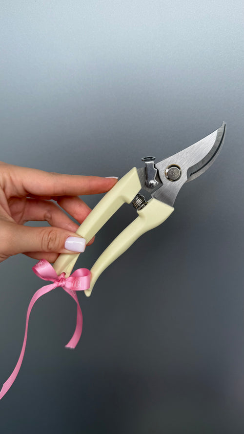 Pruning shears