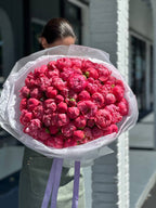 A person holding a large bouquet of Coral Charm peonies with vibrant coral-pink color that fading into soft peach as they bloom.