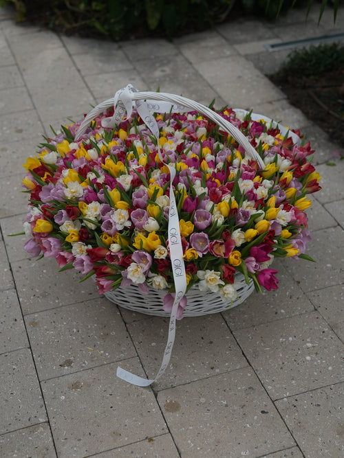 Wow Tulip Basket