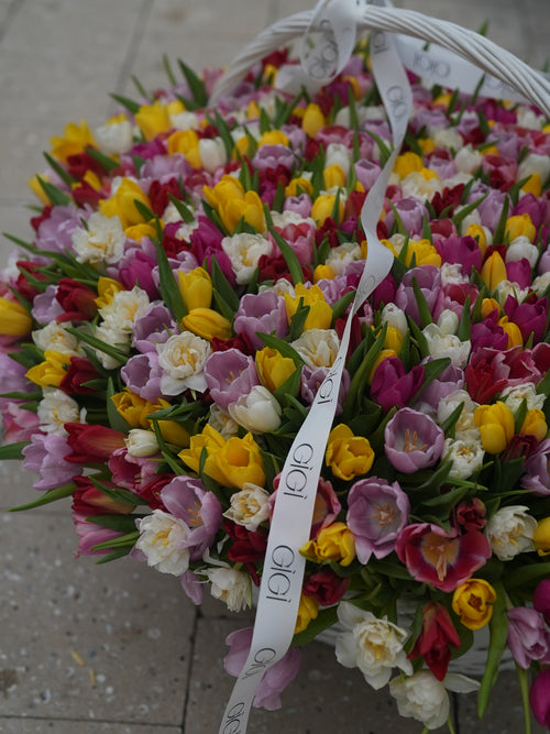 Wow Tulip Basket
